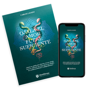 Ojalá el amor fuese suficiente | eBook